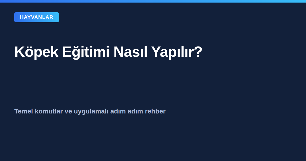 Köpek eğitimi nasıl yapılır - temel komutlar rehberi kapak görseli