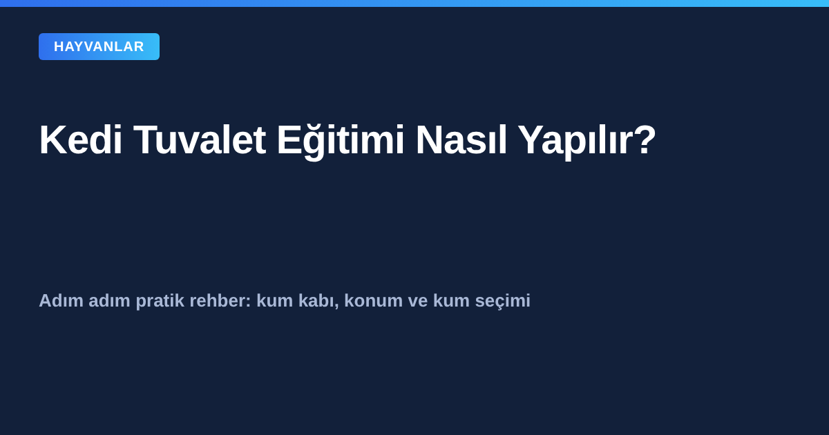 Kedi tuvalet eğitimi kum kabı rehberi kapak görseli